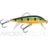 Poisson nageur RAPALA Countdown 05