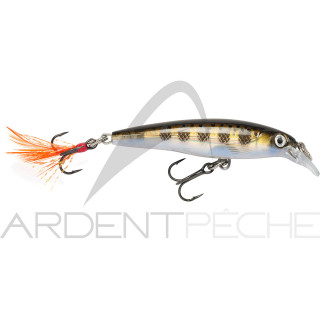 Poisson nageur RAPALA X Rap 04