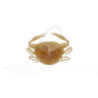 Leurre souple BERKLEY Gulp! saltwater peeler crab 2