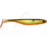 Leurre souple ILLEX Magic fat shad 5