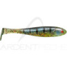 Leurre souple ILLEX Magic slim shad 2