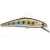 Poisson nageur SMITH D Contact 85