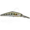 Poisson nageur SMITH D Direct 55