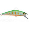 Poisson nageur SMITH D Compact 45