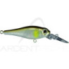 Poisson nageur SMITH Jade 43 MD SP