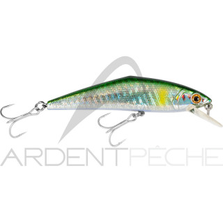 Poisson nageur SMITH D Contact 85 SW