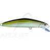Poisson nageur SMITH F Select 64