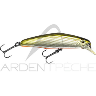 Poisson nageur SMITH D Coax 51