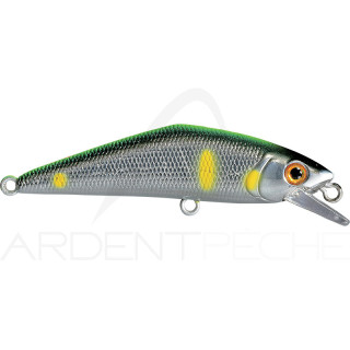 Poisson nageur SMITH D Contact 85