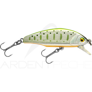 Poisson nageur SMITH D Incite 44