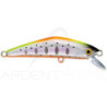 Poisson nageur SMITH D Compact 45