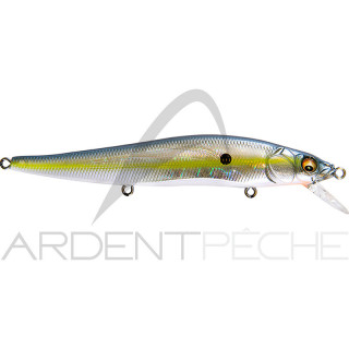 Poisson nageur MEGABASS Vision 110 FW
