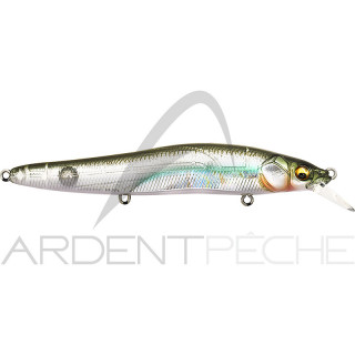 Poisson nageur MEGABASS Vision 110 R