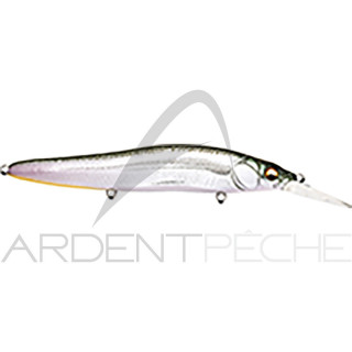 Poisson nageur MEGABASS Vision 110 R+2