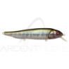 Poisson nageur MEGABASS Lates feedingwoofer