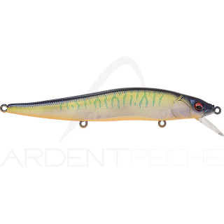 Poisson nageur MEGABASS Vision 110 FW