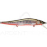 Poisson nageur MEGABASS Vision 110 FW