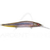 Poisson nageur MEGABASS Vision 110 +1
