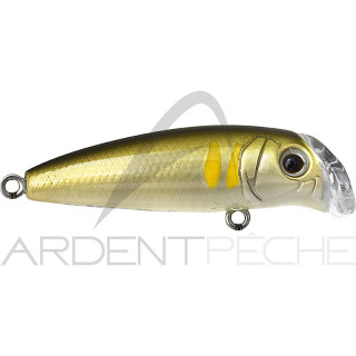 Poisson nageur TACKLE HOUSE Buffet LM 42