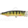 Poisson nageur TACKLE HOUSE Feed popper 70