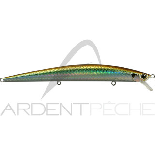 Poisson nageur DUO Tide minnow 120 slim