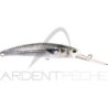 Poisson nageur DUO Realis fangbait 120 DR SW LTD