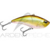 Poisson nageur DUO Realis apex vibe 100