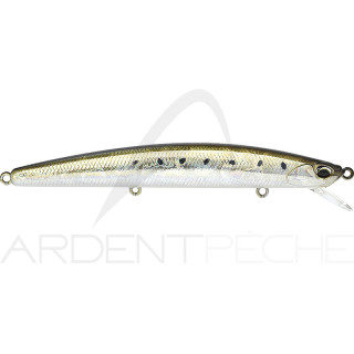 Poisson nageur DUO Tide minnow lance 110 S