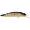 Poisson nageur DUO Realis rozante 77 SP
