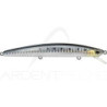 Poisson nageur DUO Tide minnow lance 110 S