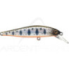 Poisson nageur ZIP BAITS Rigge flat 70 S