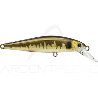 Poisson nageur ZIP BAITS Rigge flat 70 S