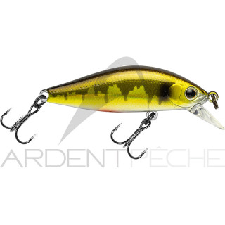 Poisson nageur ZIP BAITS Rigge flat 45 S