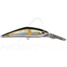 Poisson nageur SMITH D Direct 55