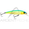 Poisson nageur ILLEX Squad minnow 65 SP