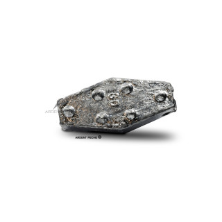LEMER Plomb hexagonal à crampons x1