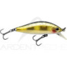 Poisson nageur ZIP BAITS Rigge flat 45 S