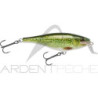 Poisson nageur RAPALA Super shad rap 14