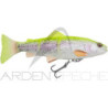 Leurre souple SAVAGE GEAR 4D Line thru trout SS 25cm