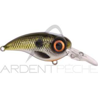 Crankbait SPRO Fat iris 50 CR