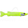 Poisson nageur BIWAA Swimpike 180
