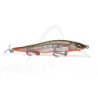 Poisson nageur MEGABASS Vision 110 FW