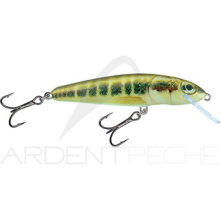 Poisson nageur SALMO Minnow 6 F