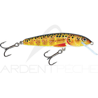 Poisson nageur SALMO Minnow 6 F