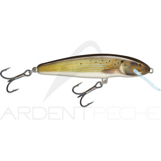 Poisson nageur SALMO Minnow 5 S