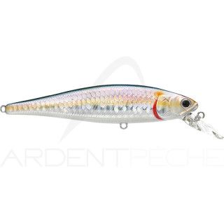 Poisson nageur LUCKY CRAFT B Freeze Pointer 100 SW