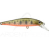 Poisson nageur ZIP BAITS Rigge flat 70 S
