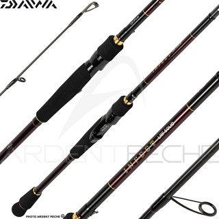 Canne spinning DAIWA Infeet rockfish