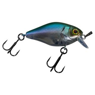 Poisson nageur ILLEX Chubby 41