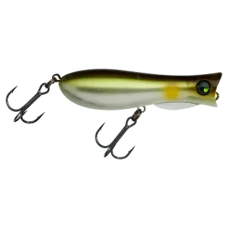 Leurre de surface ILLEX Bleeker toppy 67